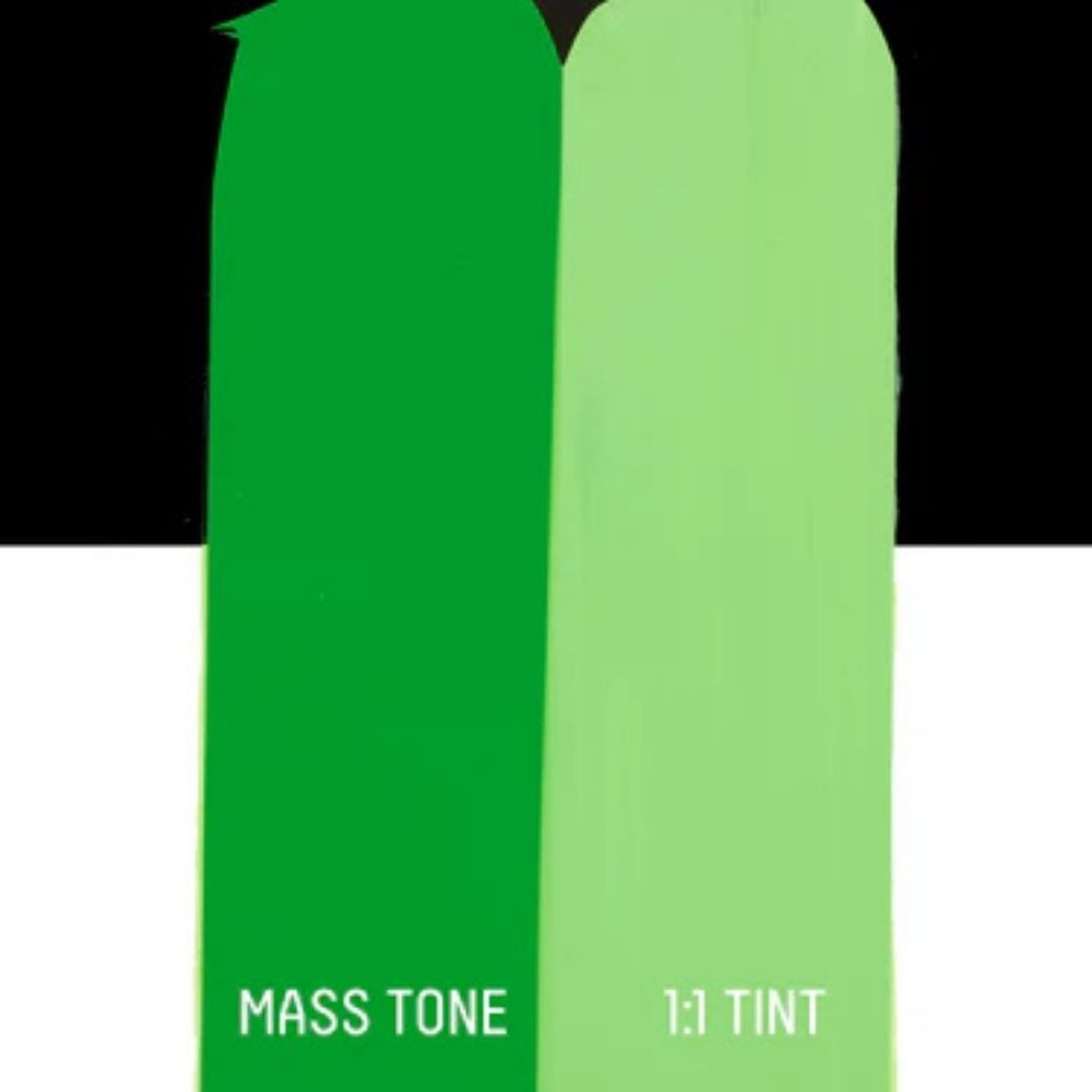 Liquitex Basics Akrilik Boya 22ml Light Green Permanent 312