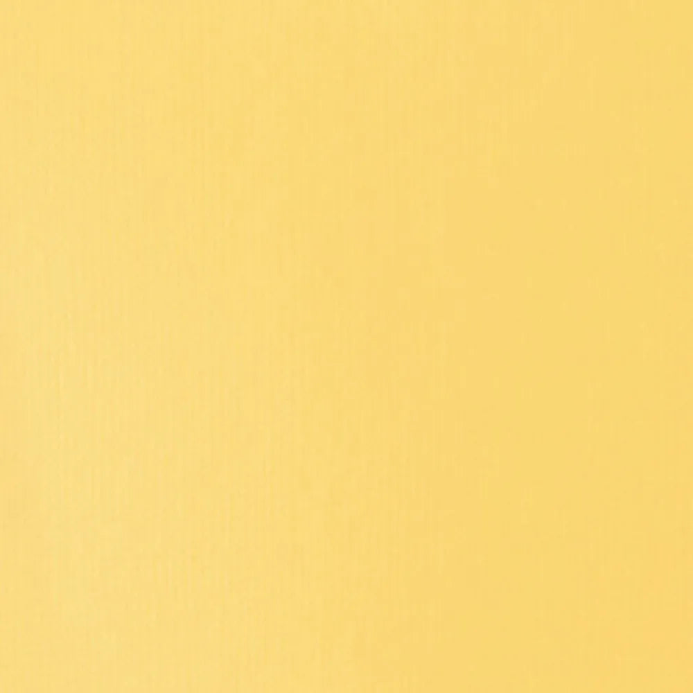 Liquitex Basics Akrilik Boya 22ml Naples Yellow Hue 601