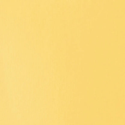 Liquitex Basics Akrilik Boya 22ml Naples Yellow Hue 601