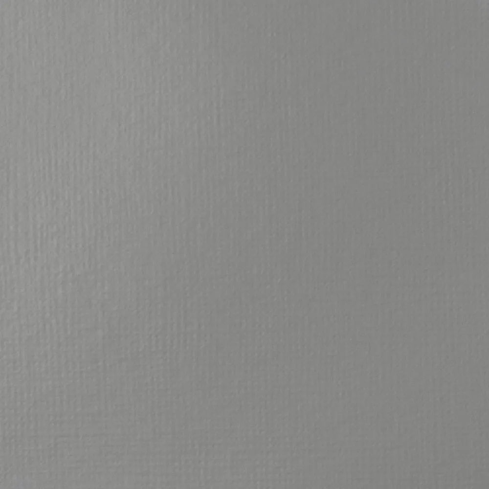 Liquitex Basics Akrilik Boya 22ml Neutral Gray 5 599