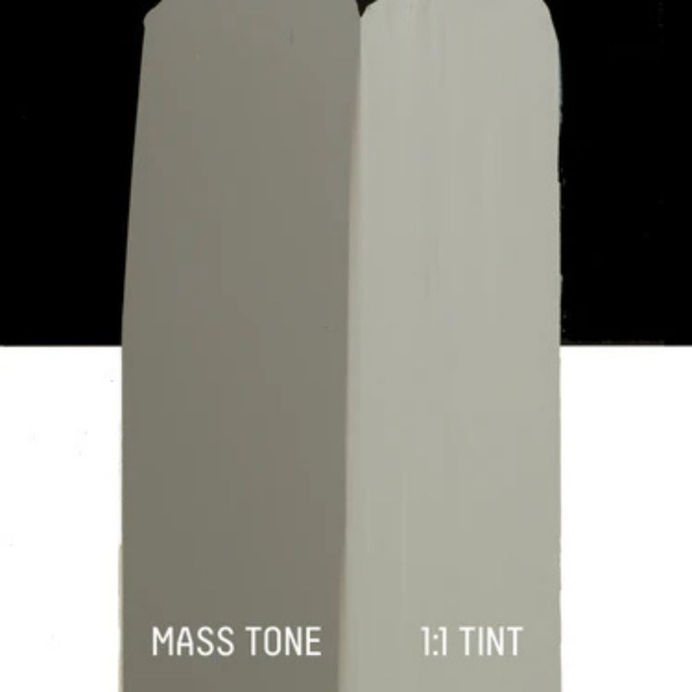 Liquitex Basics Akrilik Boya 22ml Neutral Gray 5 599