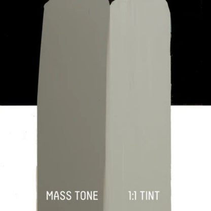 Liquitex Basics Akrilik Boya 22ml Neutral Gray 5 599