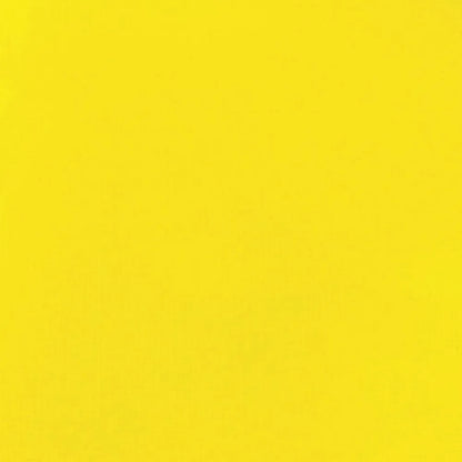 Liquitex Basics Akrilik Boya 22ml Primary Yellow 410
