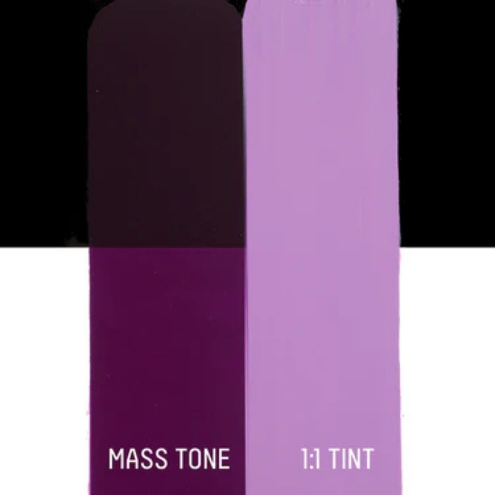 Liquitex Basics Akrilik Boya 22ml Prism Violet 391