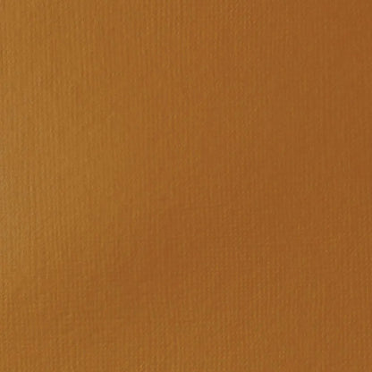 Liquitex Basics Akrilik Boya 22ml Raw Sienna 330