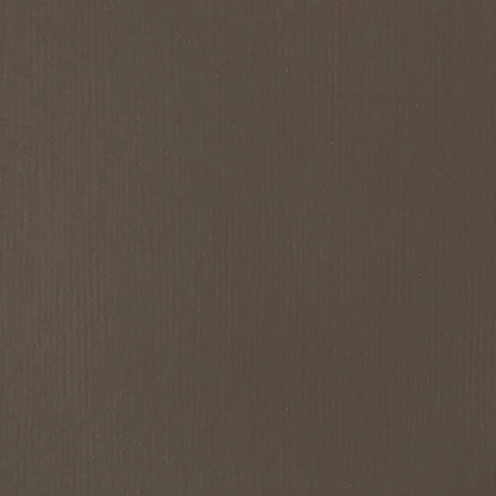 Liquitex Basics Akrilik Boya 22ml Raw Umber 331