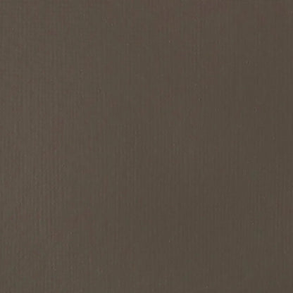 Liquitex Basics Akrilik Boya 22ml Raw Umber 331