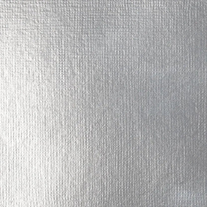 Liquitex Basics Akrilik Boya 22ml Silver 052