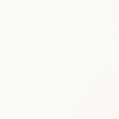 Liquitex Basics Akrilik Boya 22ml Transparent Mixing White 430