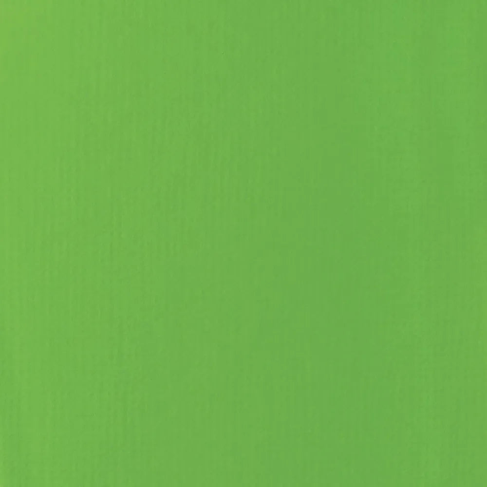 Liquitex Basics Akrilik Boya 22ml Lime Green 222