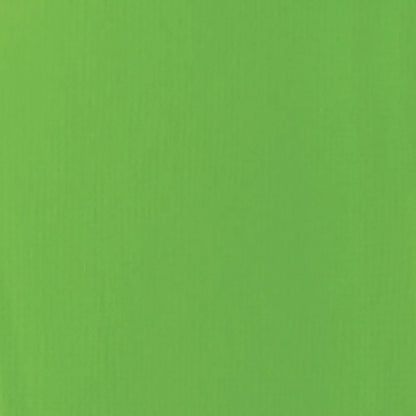 Liquitex Basics Akrilik Boya 22ml Lime Green 222
