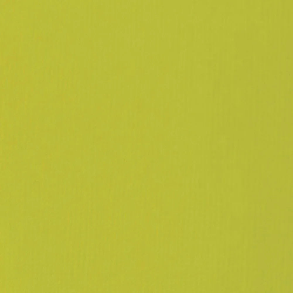 Liquitex Basics Akrilik Boya 22ml Light Olive Green 218