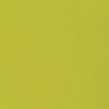 Liquitex Basics Akrilik Boya 22ml Light Olive Green 218