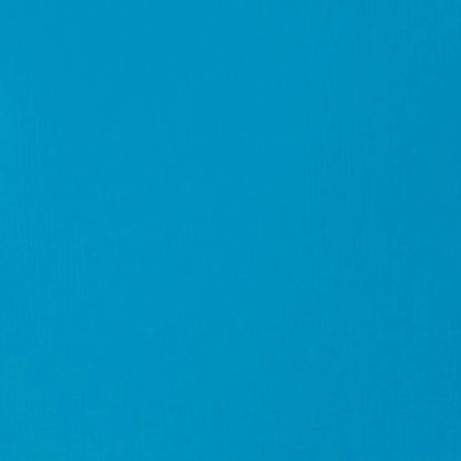 Liquitex Basics Akrilik Boya 22ml Brilliant Blue 570