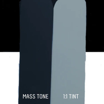 Liquitex Basics Akrilik Boya 22ml Payne's Gray 310