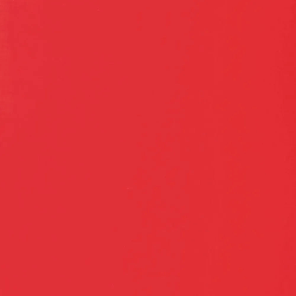 Liquitex Basics Akrilik Boya 22ml Fluorescent Red 983