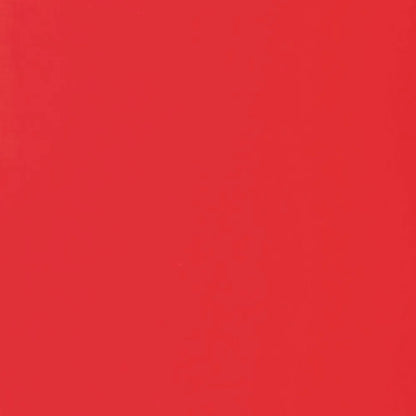 Liquitex Basics Akrilik Boya 22ml Fluorescent Red 983