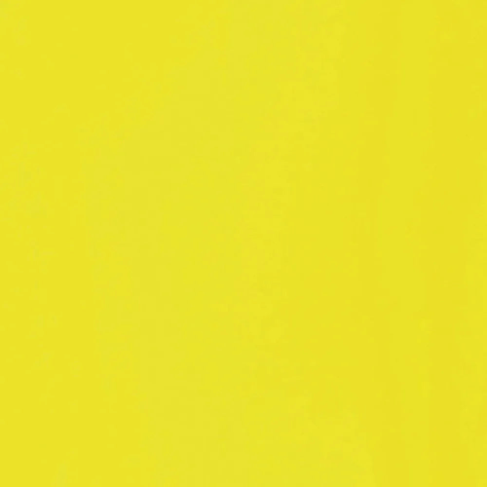 Liquitex Basics Akrilik Boya 22ml Fluorescent Yellow 981
