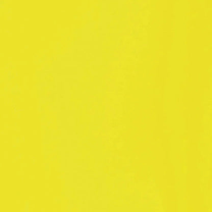 Liquitex Basics Akrilik Boya 22ml Fluorescent Yellow 981