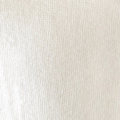 Liquitex Basics Akrilik Boya 22ml Iridiscent White 238