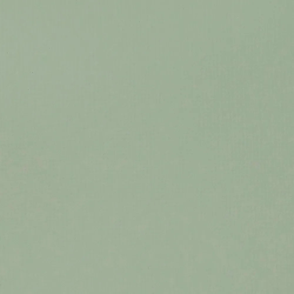 Liquitex Basics Akrilik Boya 22ml Green Gray 205