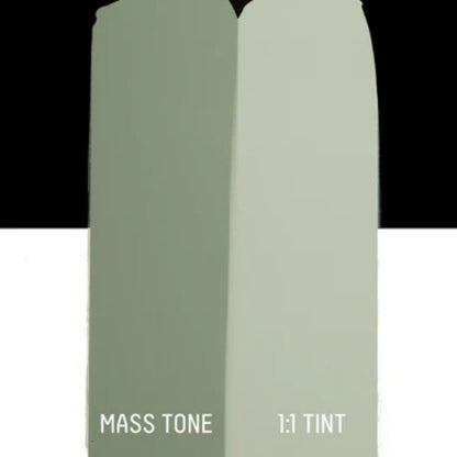 Liquitex Basics Akrilik Boya 22ml Green Gray 205