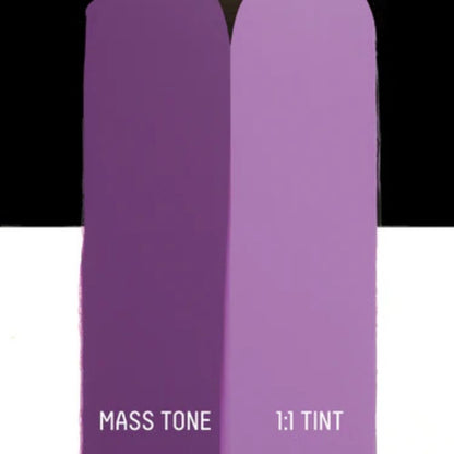 Liquitex Basics Akrilik Boya 22ml Purple Gray 263
