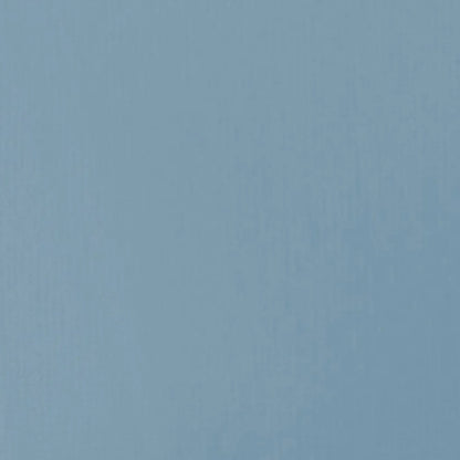 Liquitex Basics Akrilik Boya 22ml Blue Gray 142