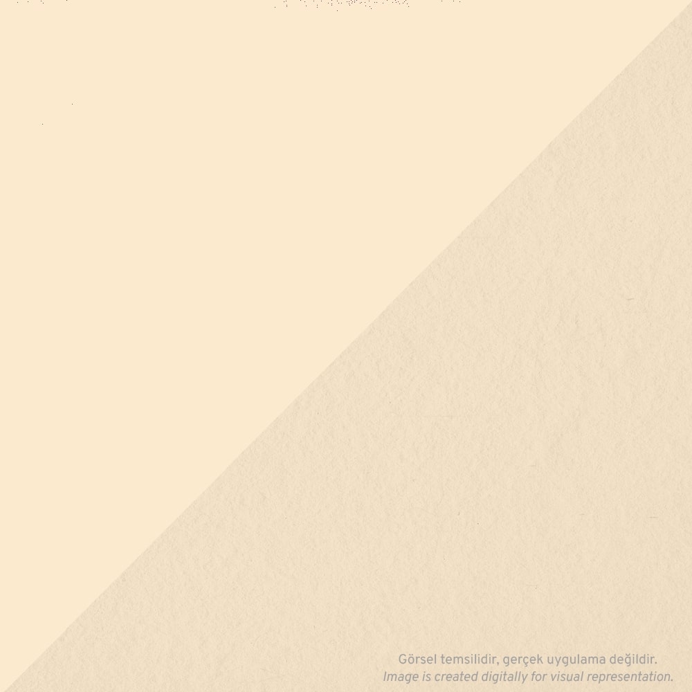 Tombow AB-T PRO Dual Brush Pen Grafik Kalemi Peach 020