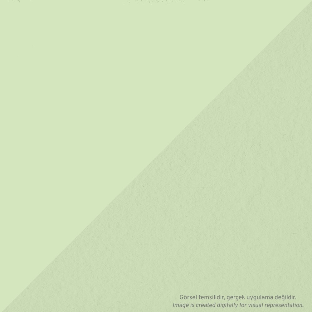 Tombow AB-T PRO Dual Brush Pen Grafik Kalemi Honeydrew 191