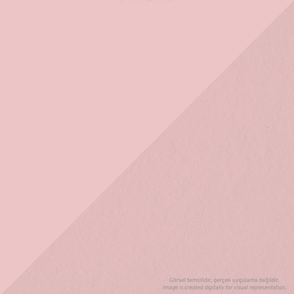 Tombow AB-T PRO Dual Brush Pen Grafik Kalemi Carnation 761