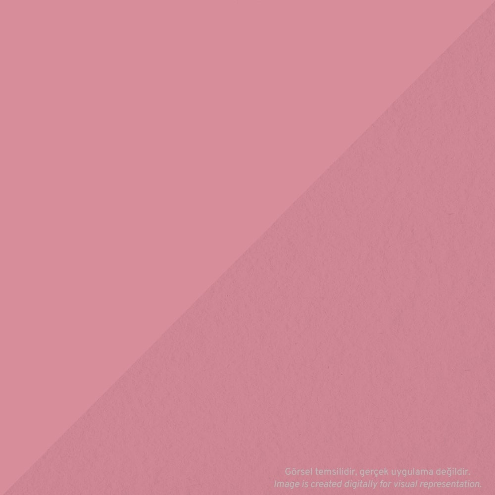 Tombow AB-T PRO Dual Brush Pen Grafik Kalemi Blush 772