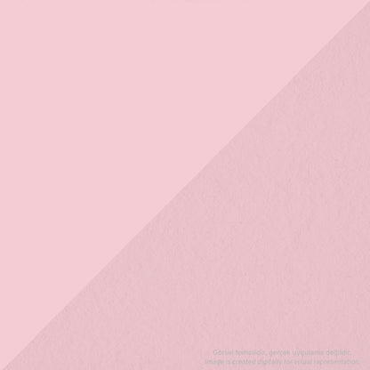 Tombow AB-T PRO Dual Brush Pen Grafik Kalemi Baby Pink 800