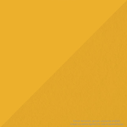 Tombow AB-T PRO Dual Brush Pen Grafik Kalemi Chrome Orange 993