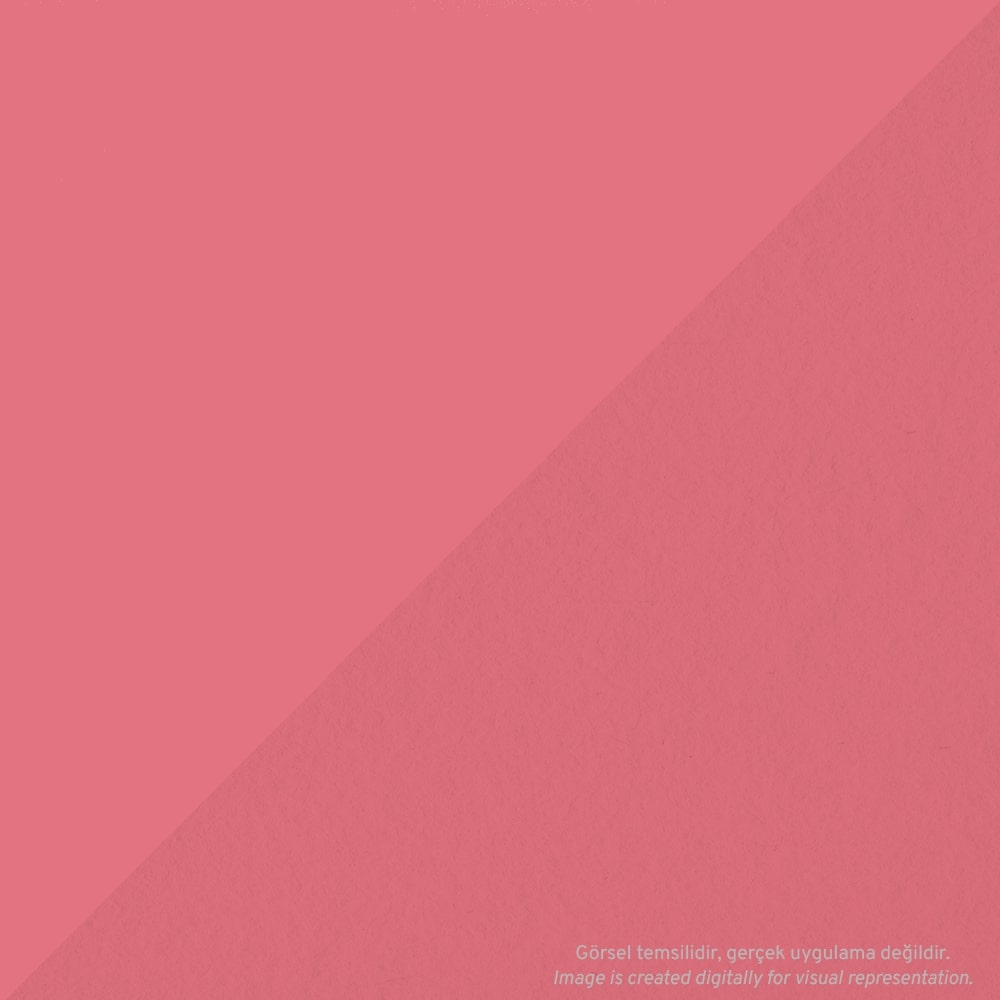 Tombow AB-T Dual Brush Pen Grafik Kalemi Pink Punch 803