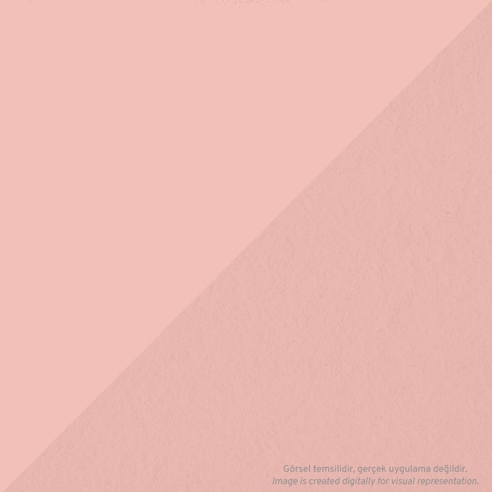 Tombow AB-T Dual Brush Pen Grafik Kalemi Flesh 850