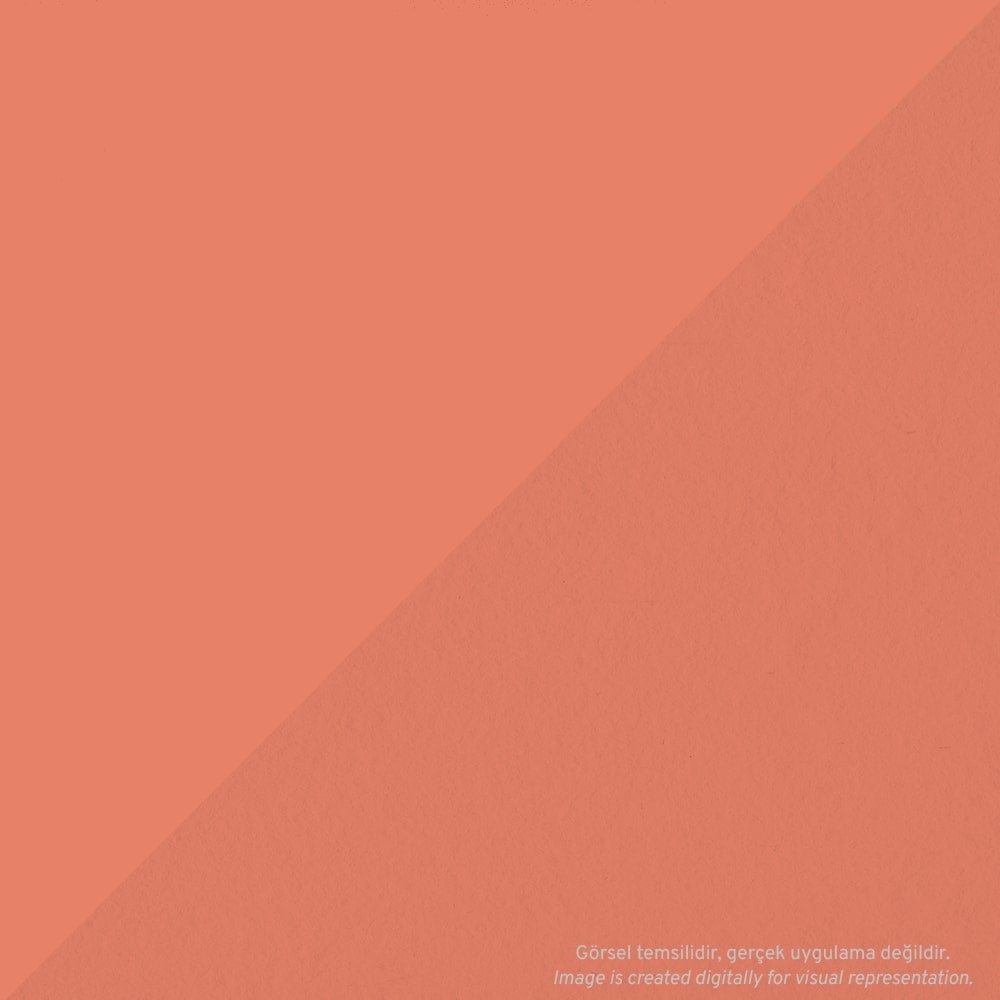 Tombow AB-T Dual Brush Pen Grafik Kalemi Coral 873