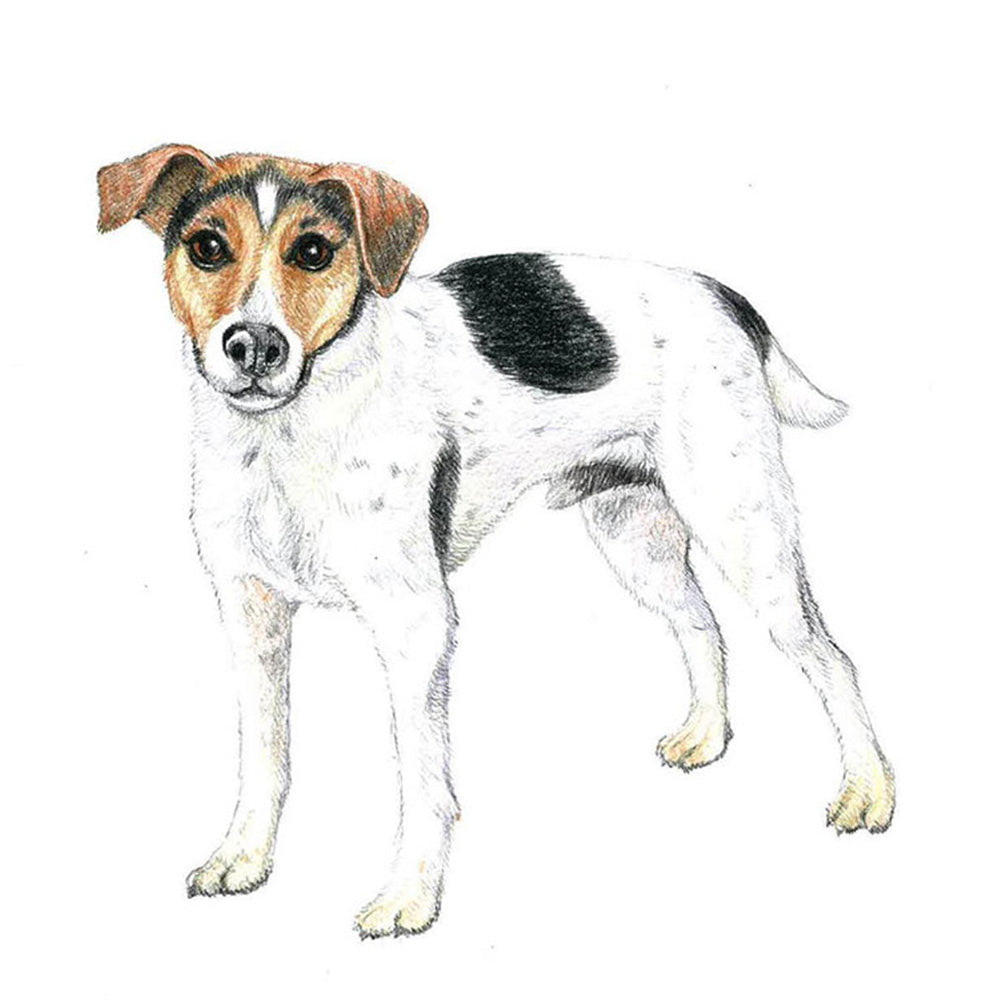 Tombow IROJITEN Boya Kalemi Hummingbird