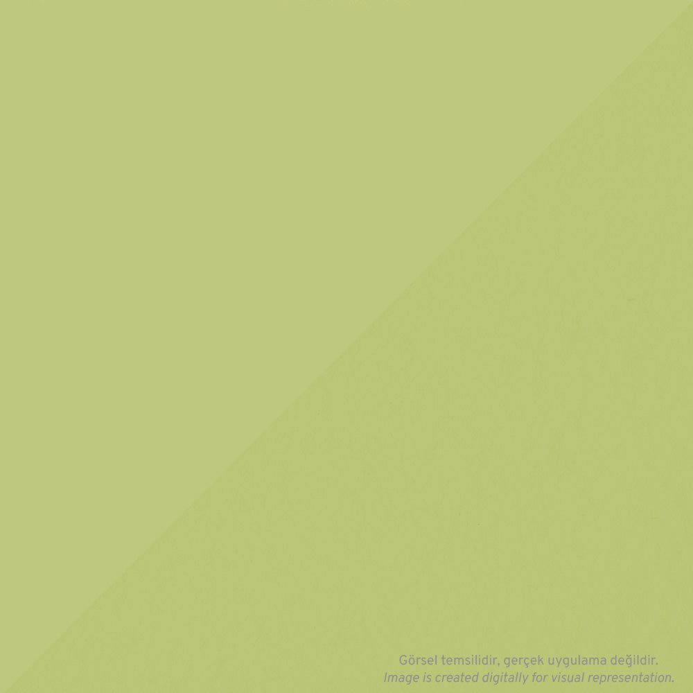 LV-T-CI-RLG5 - Görsel 2