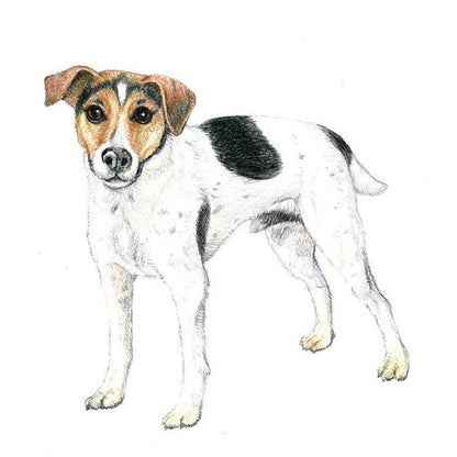 Tombow IROJITEN Boya Kalemi Lilac