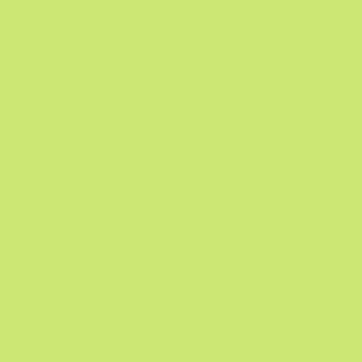 Tombow TWIN TONE Markör Lime Green 50