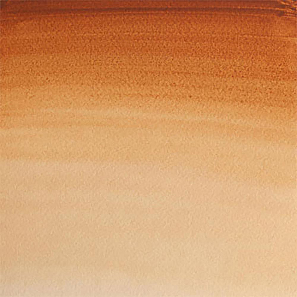 Winsor & Newton Professional Sulu Boya Brown Ochre 059 S.1 (Tam Tablet)