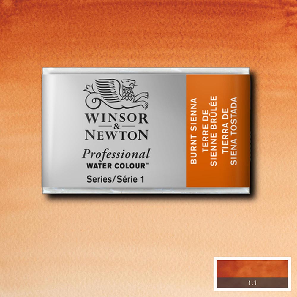 Winsor & Newton Professional Sulu Boya Burnt Sienna 074 S.1 (Tam Tablet)