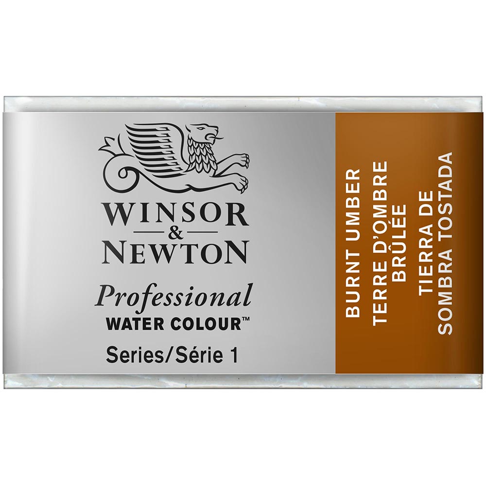 Winsor & Newton Professional Sulu Boya Burnt Umber 076 S.1 (Tam Tablet)
