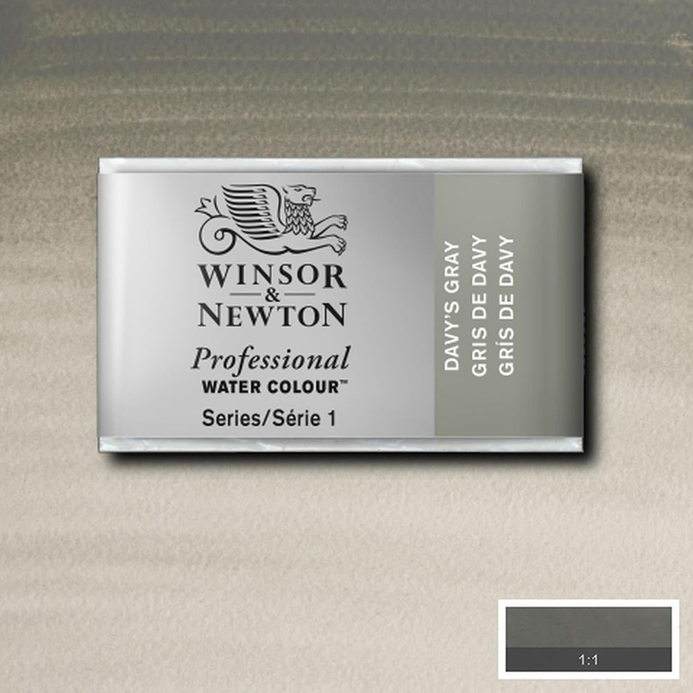 Winsor & Newton Professional Sulu Boya Davy’s Gray 217 S.1 (Tam Tablet)