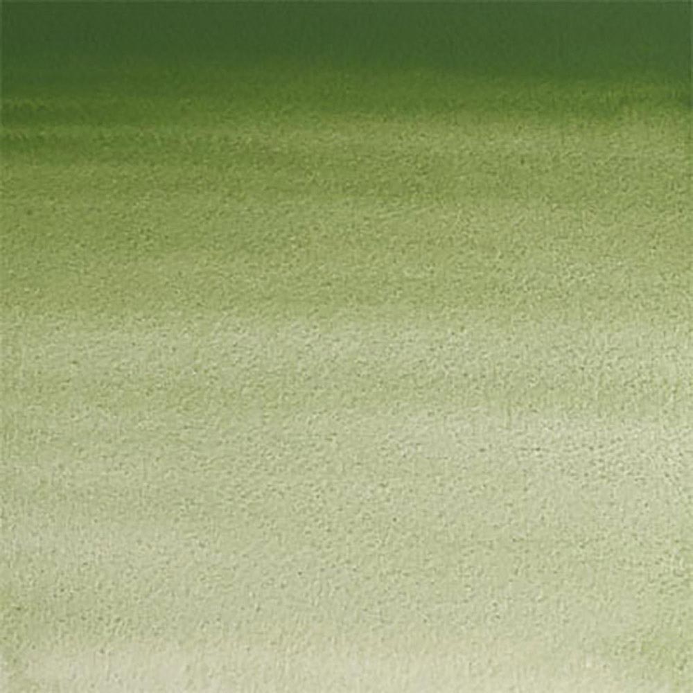 Winsor & Newton Professional Sulu Boya Oxide Of Chromium 459 S.3 (Tam Tablet)