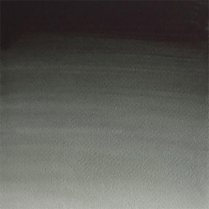 Winsor & Newton Professional Sulu Boya Perylene Green 460 S.2 (Tam Tablet)