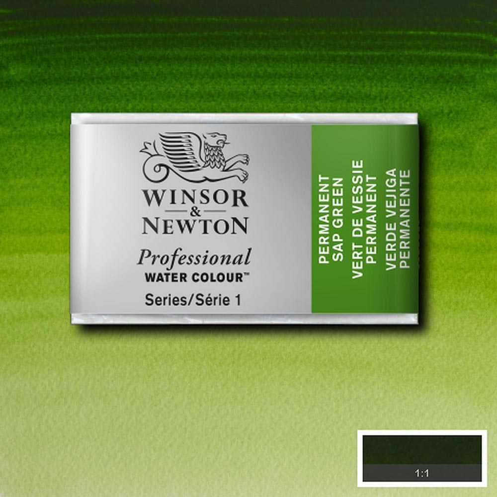 Winsor & Newton Professional Sulu Boya Permanent Sap Green 503 S.1 (Tam Tablet)