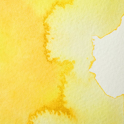 Winsor & Newton Professional Sulu Boya Yarım Tablet Aureolin Hue S.2