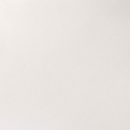 Winsor & Newton Professional Sulu Boya Titanium White 644 S.1 (Yarım Tablet)